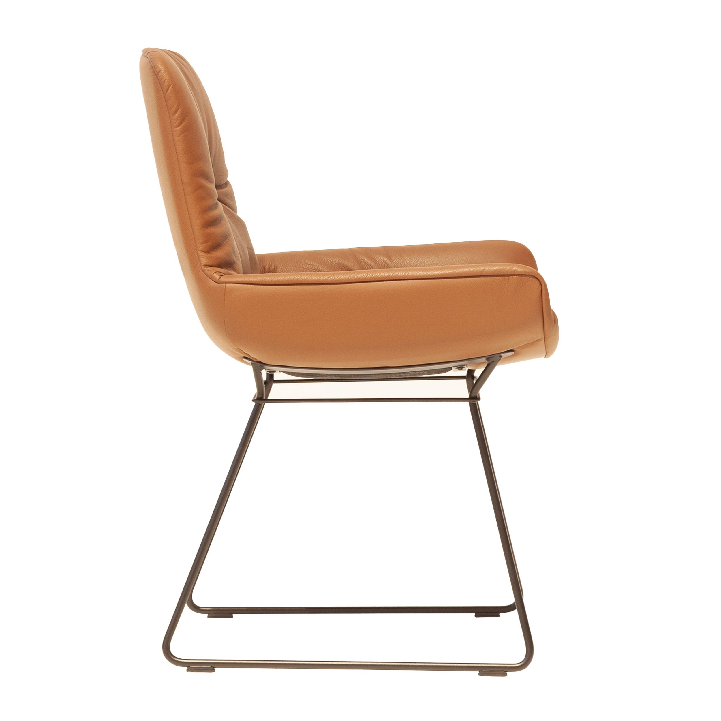 Eleganter brauner Lederstuhl mit stabilem Metalluntergestell, Schalenstuhl Leya Armchair Low von Freifrau, in seitlicher Ansicht vor einem weißen Hintergrund.