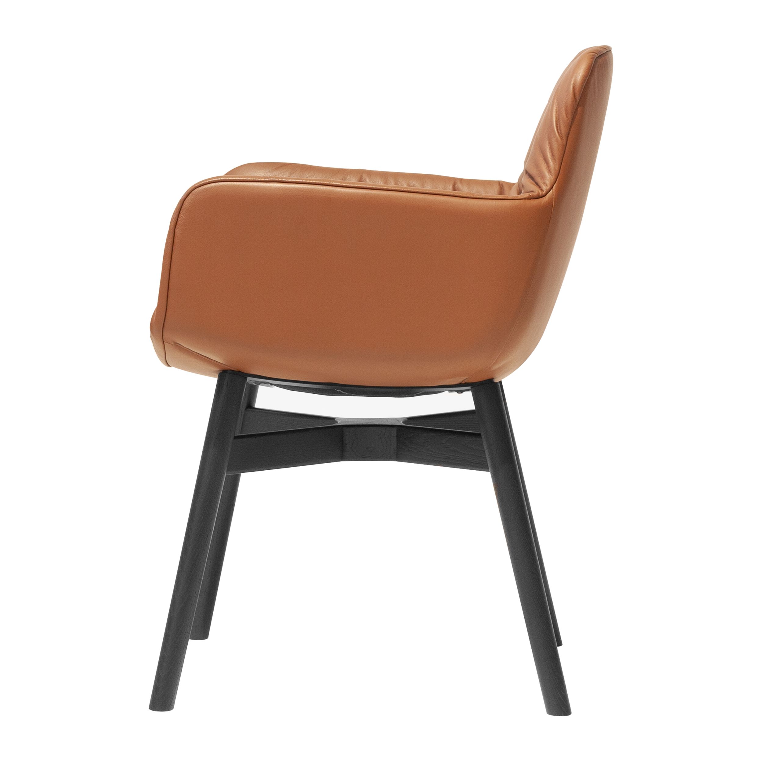 Eleganter Leya Armchair von Freifrau in braunem Leder mit schwarzen Holzbeinen in seitlicher Ansicht vor einem weißen Hintergrund.