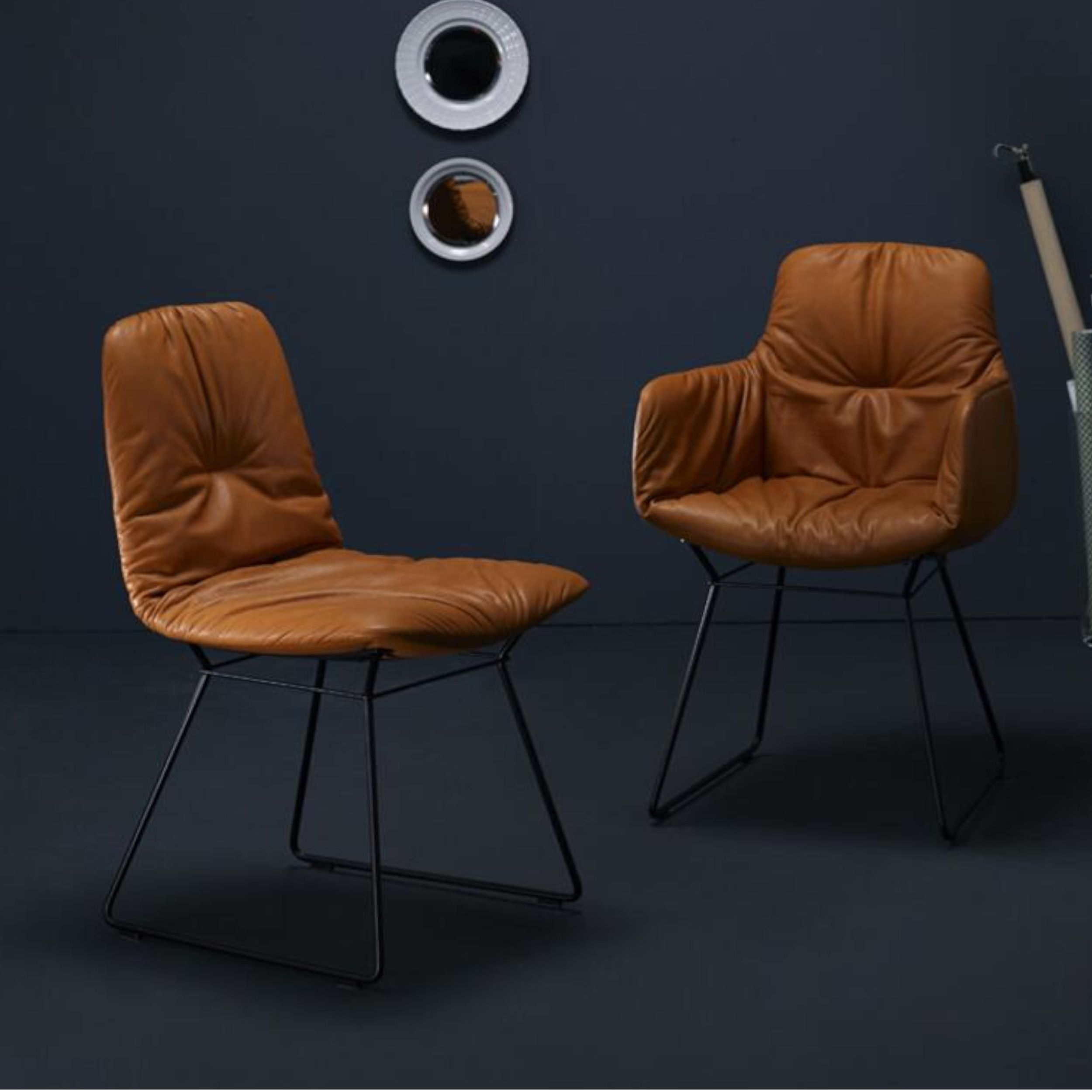 Zwei braune Lederstühle aus der Modellreihe Leya von Freifrau in einem dunklen Raum, elegant und modern gestaltet.
